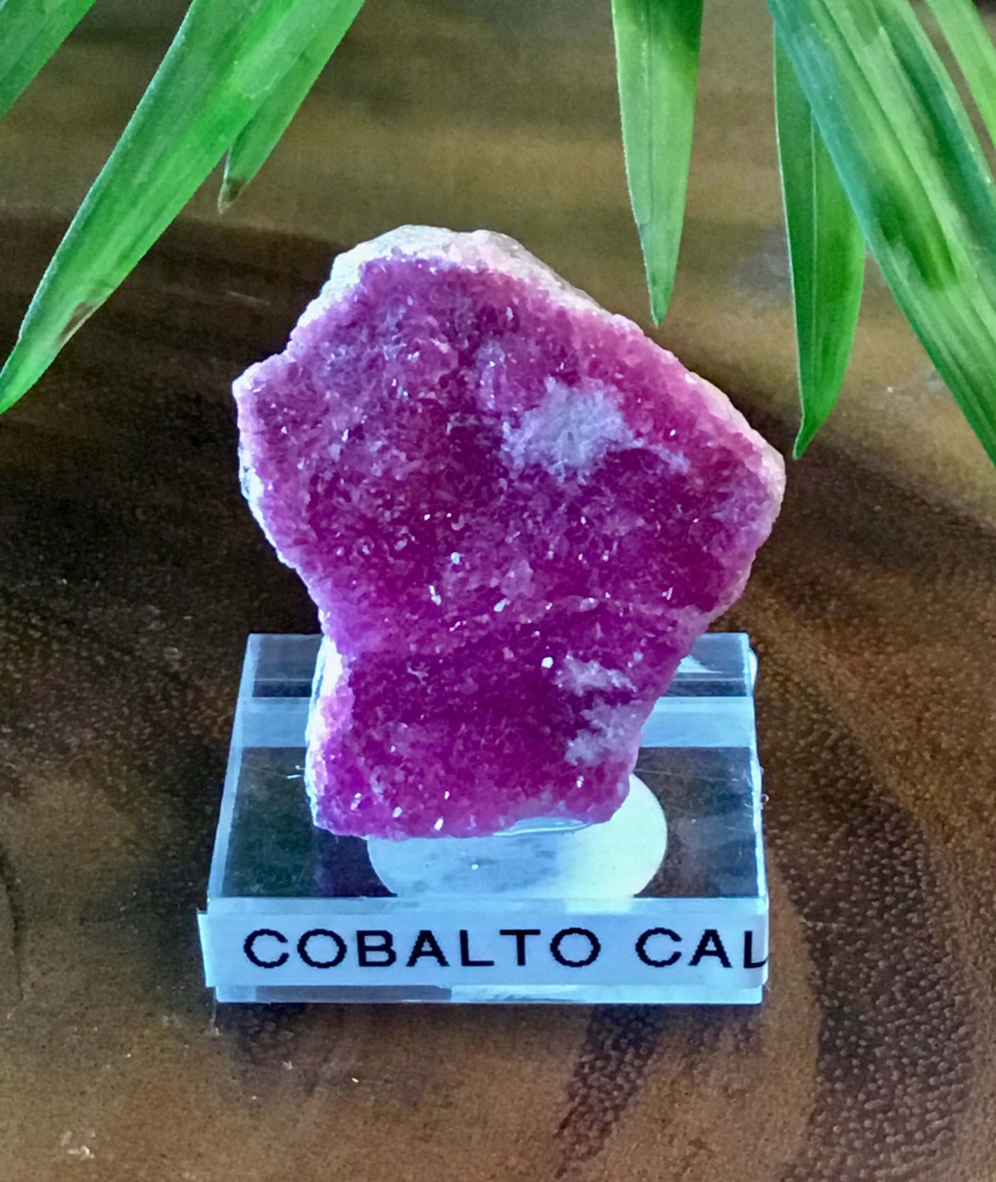 Cobalto Calcite Specimen ~Republic of Congo