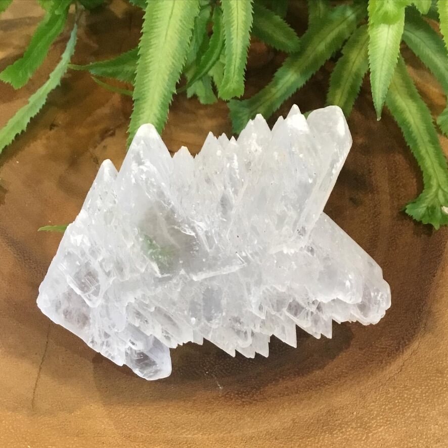 Fishtale Selenite Healing Crystal Specimen