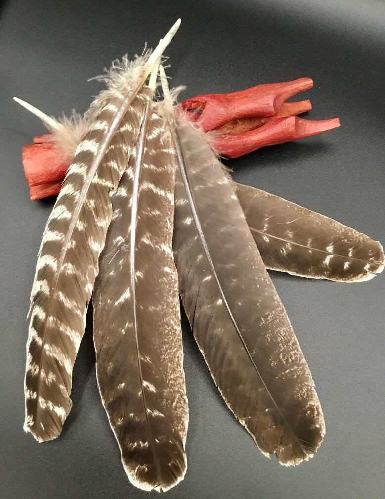 Smudging Feather - Turkey